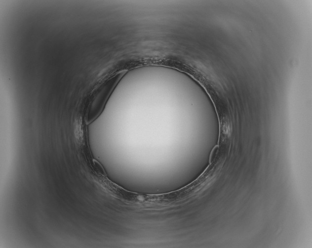 X0000112761252200908201026