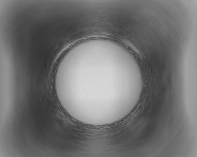 X0000112761256200908201026