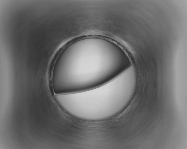 X0000112761264200908201026