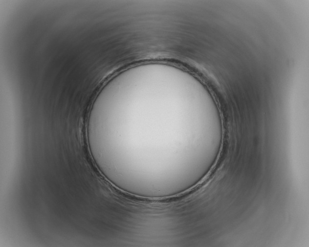 X0000112761265200908201026