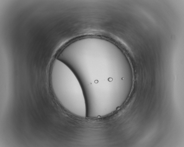 X0000112761267200908201026