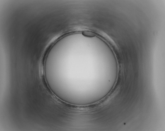 X0000112761269200908201026