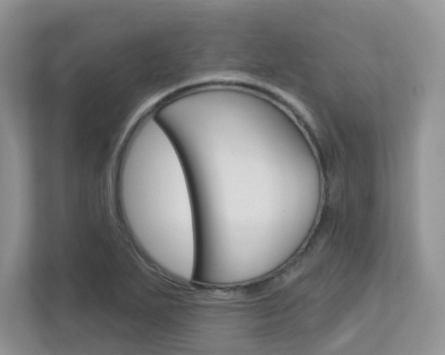 X0000112761271200908201026