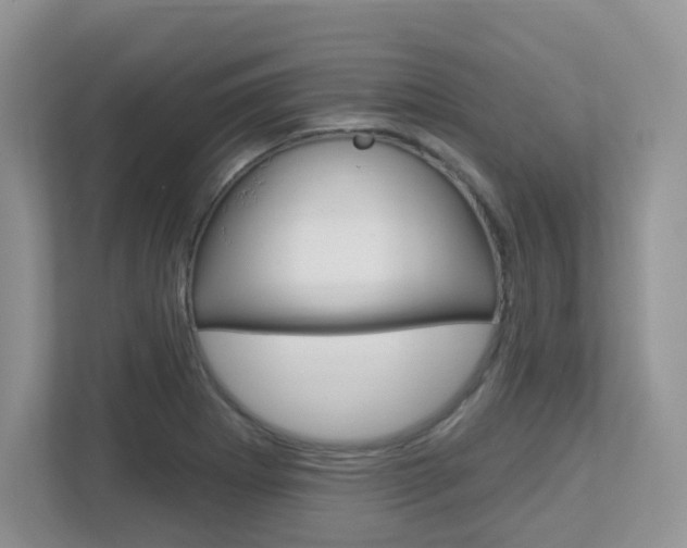 X0000112761273200908201026