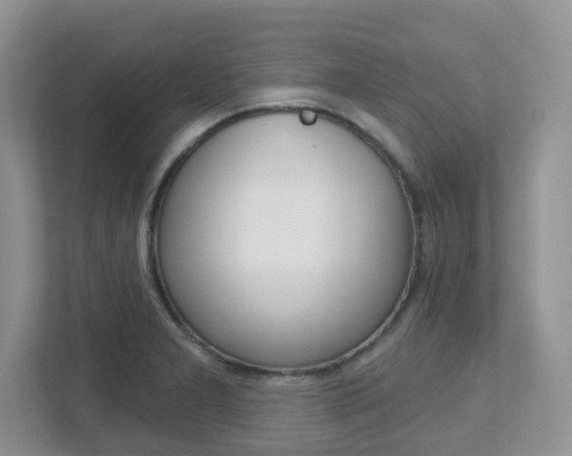X0000112761277200908201026