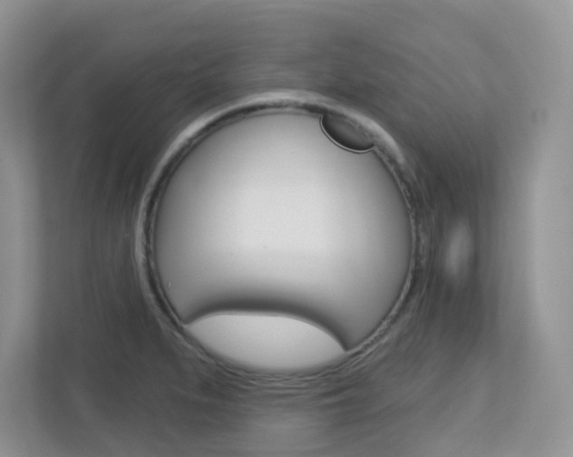 X0000112761279200908201026