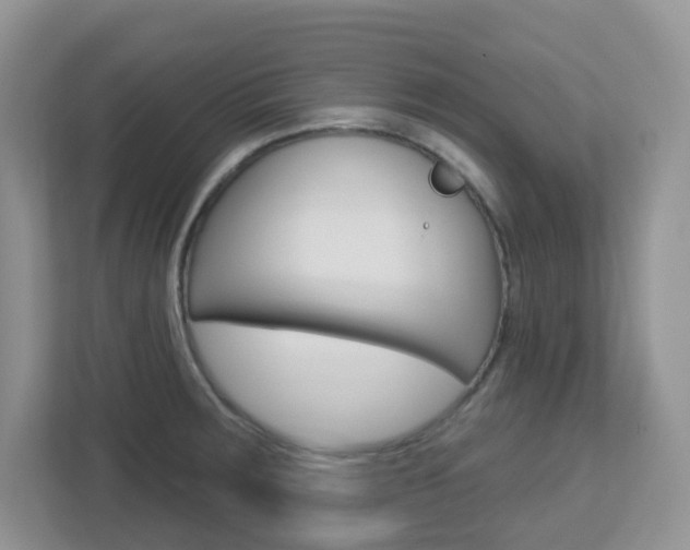 X0000112761283200908201026