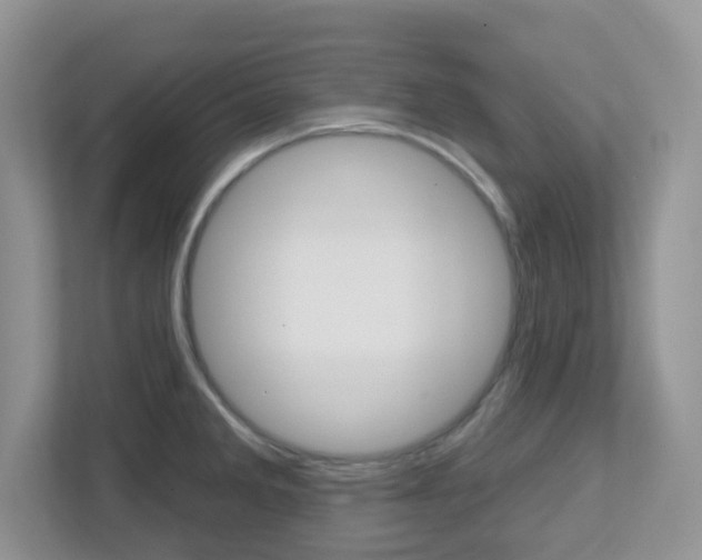 X0000112761285200908201026