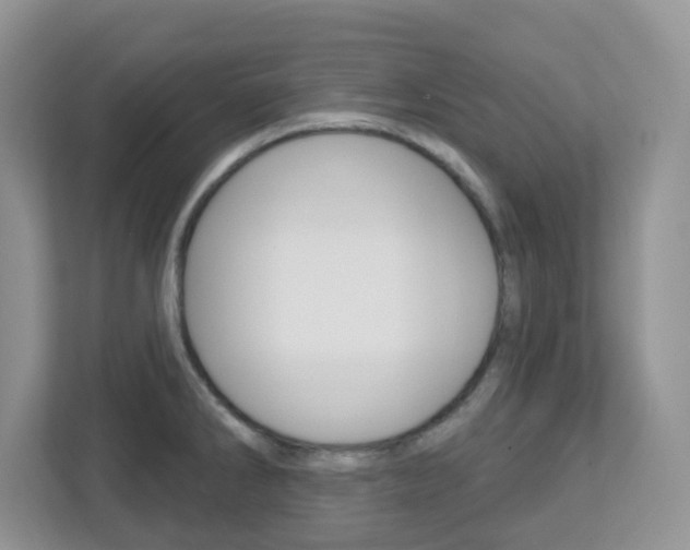 X0000112761286200908201026