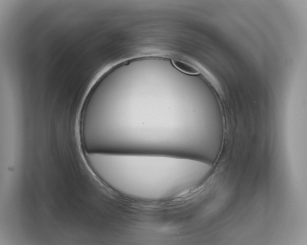 X0000112761291200908201026