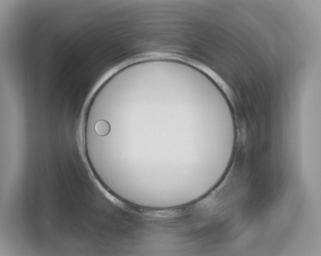 X0000112761294200908201026