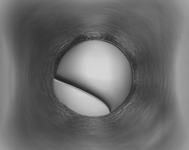 X0000112761297200908201025