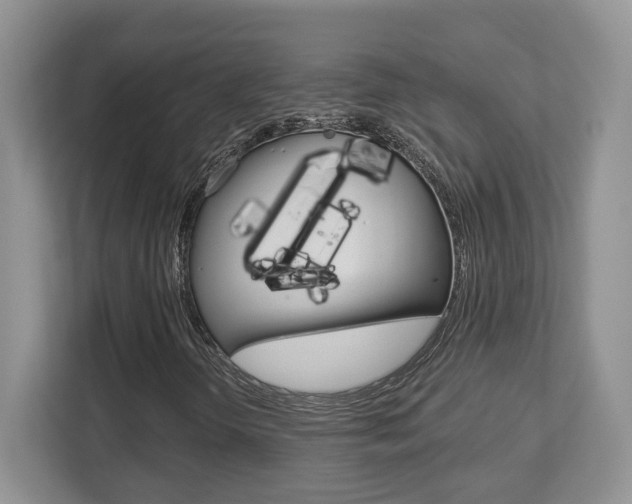 X0000112761298200908201025