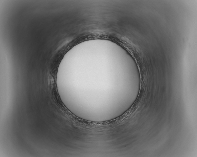 X0000112761302200908201025