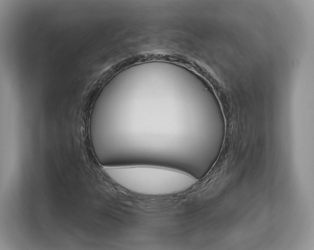 X0000112761303200908201025