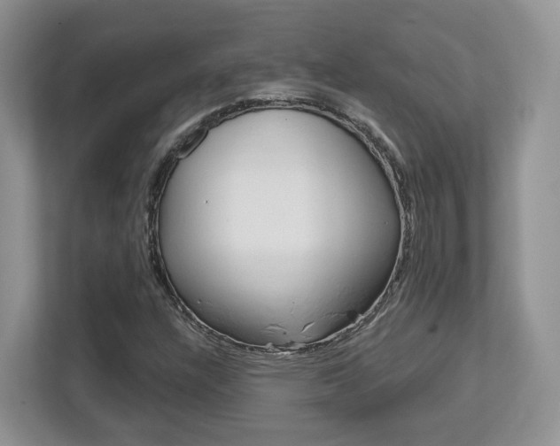 X0000112761304200908201025