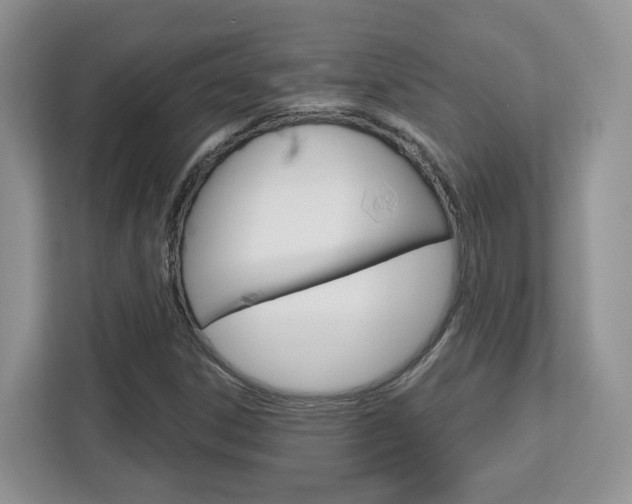 X0000112761306200908201025