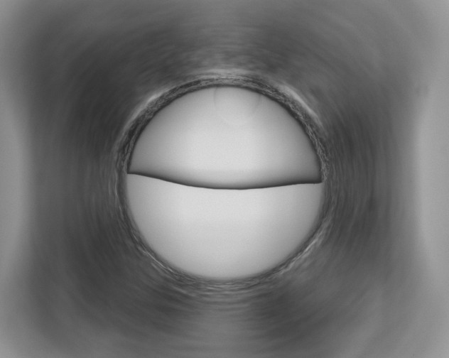 X0000112761307200908201025