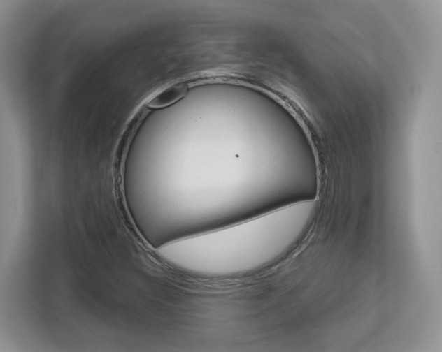 X0000112761308200908201025