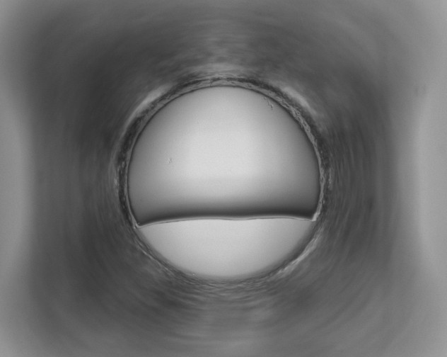 X0000112761309200908201025