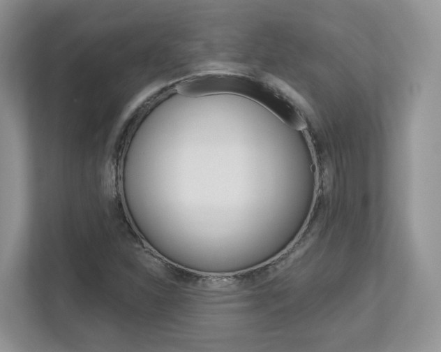 X0000112761310200908201025