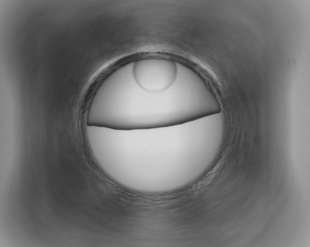 X0000112761311200908201025