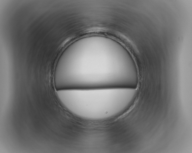 X0000112761313200908201025