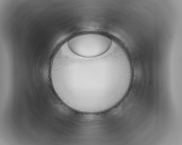 X0000112761314200908201025