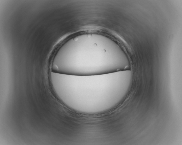 X0000112761315200908201025