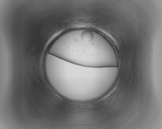 X0000112761317200908201025