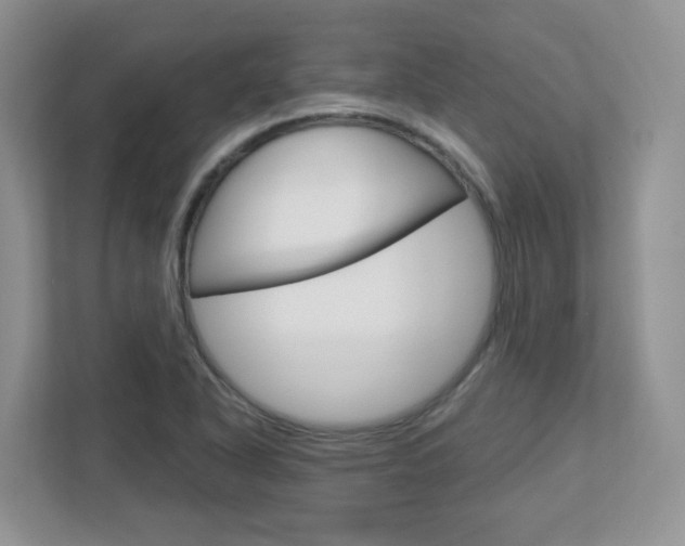 X0000112761318200908201025