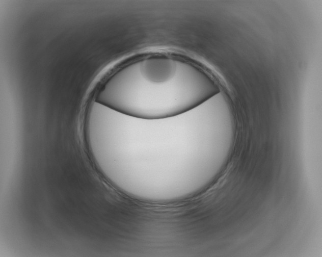 X0000112761319200908201025