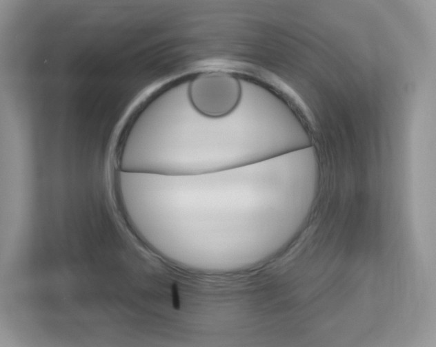 X0000112761323200908201025