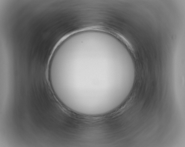X0000112761324200908201025