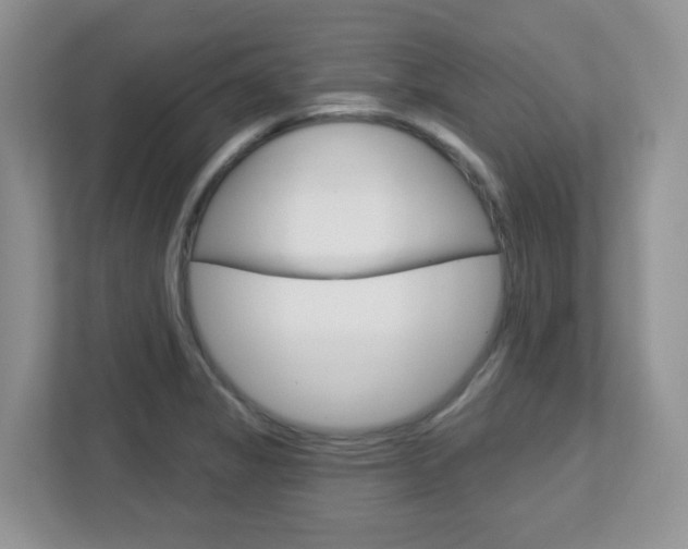 X0000112761325200908201025