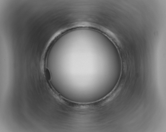X0000112761326200908201025