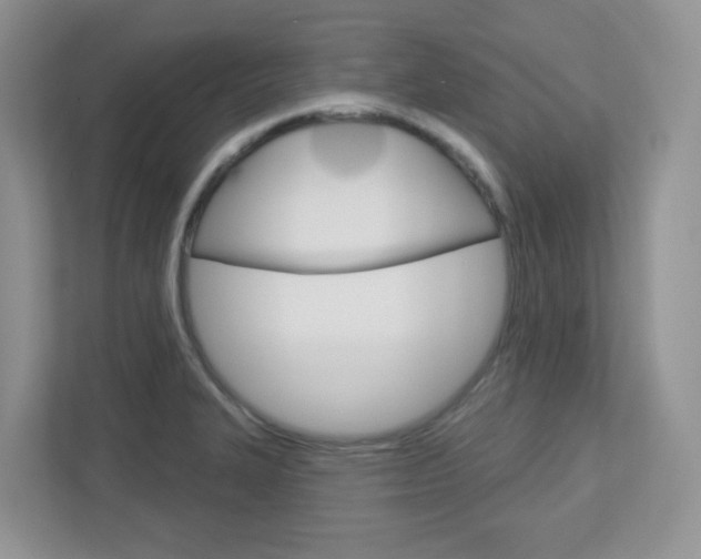 X0000112761327200908201026