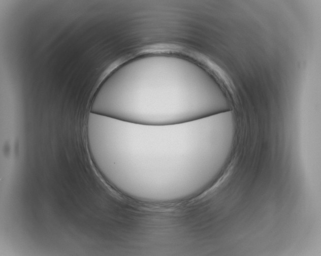 X0000112761329200908201026