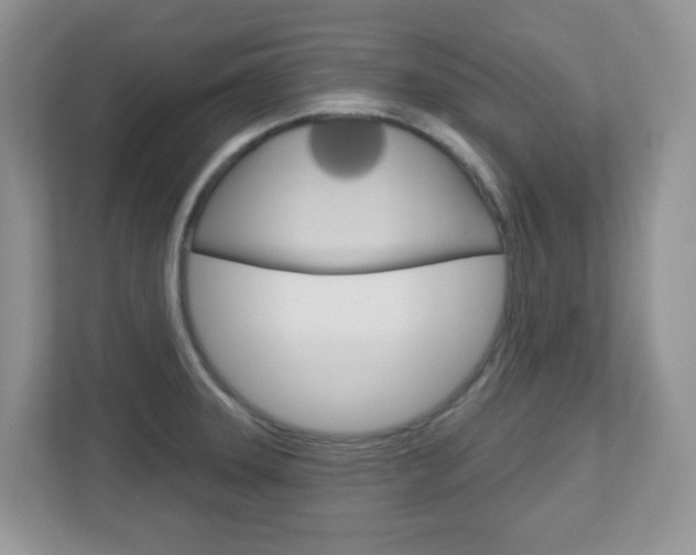 X0000112761331200908201026