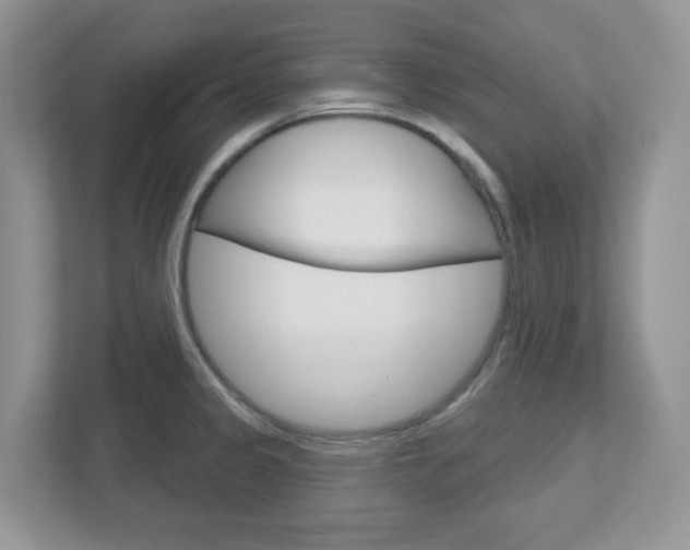 X0000112761333200908201026