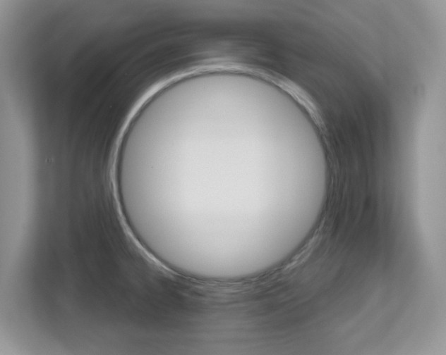 X0000112761334200908201026