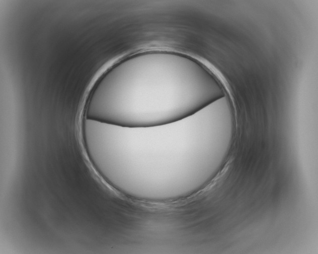 X0000112761341200908201026