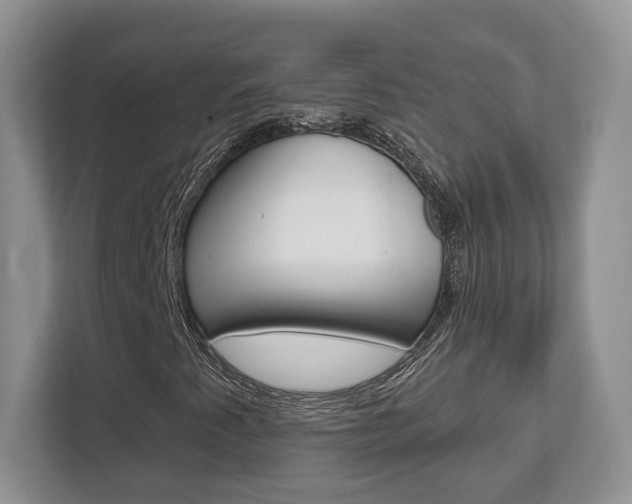 X0000112761345200908201025