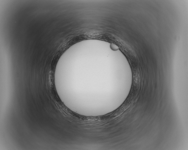 X0000112761346200908201025