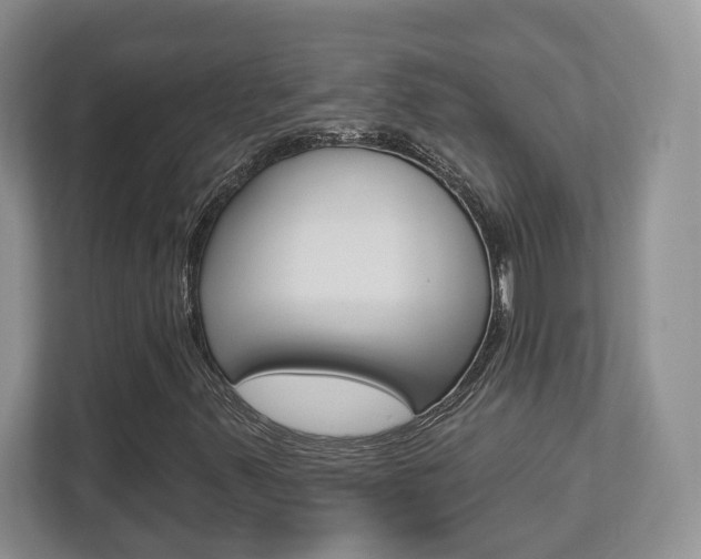 X0000112761347200908201025