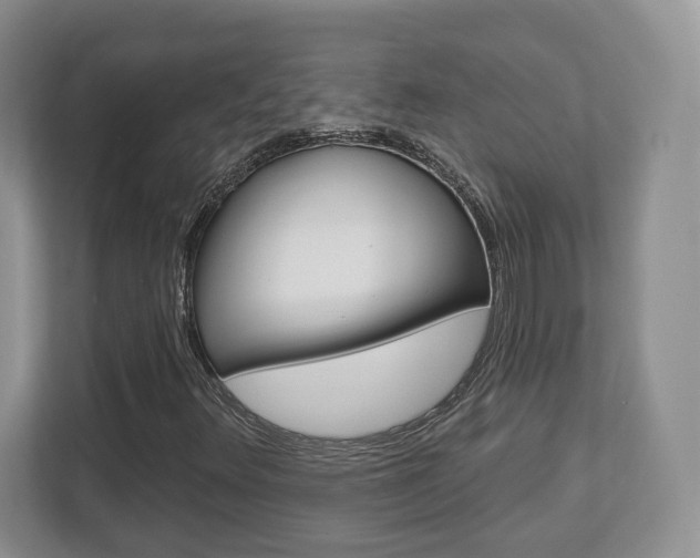 X0000112761348200908201025