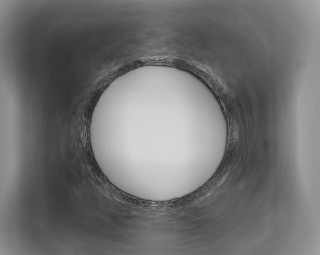 X0000112761350200908201025