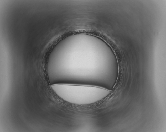X0000112761351200908201025