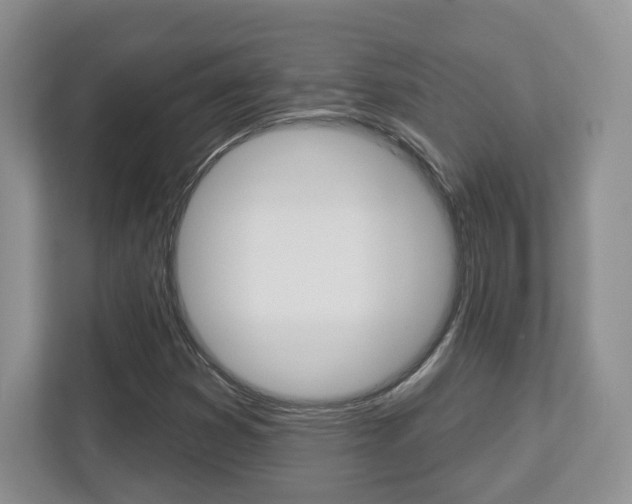 X0000112761353200908201025