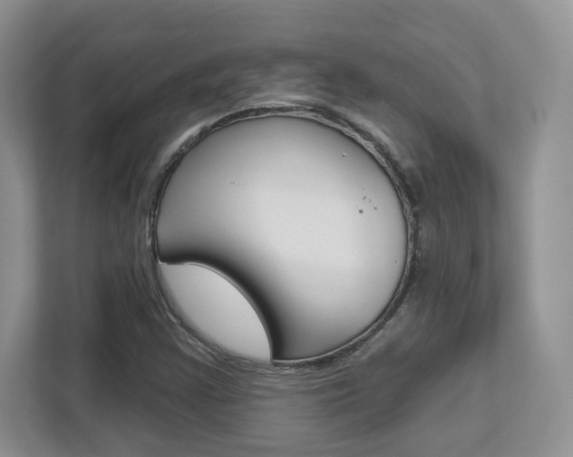 X0000112761355200908201025
